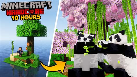 I Built A PANDA ISLAND In Minecraft Hardcore Minecraft Videos