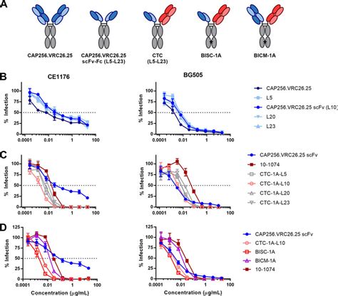 Bispecific Constructs Combining Cap256 Vrc26 25 And 10 1074 Are More