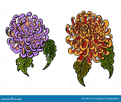 Chrysanthemum Flower Vector For Tattoo Designtraditional Japanese