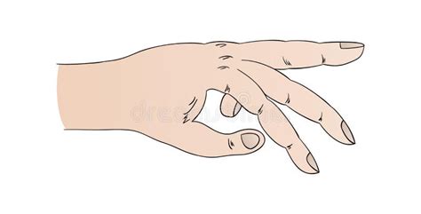 Human Hand With Pointing Ring Finger Stock Illustration - Image: 49746171