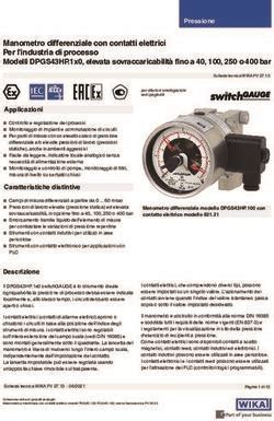 Manometro Differenziale Con Contatti Elettrici Per L Industria Di