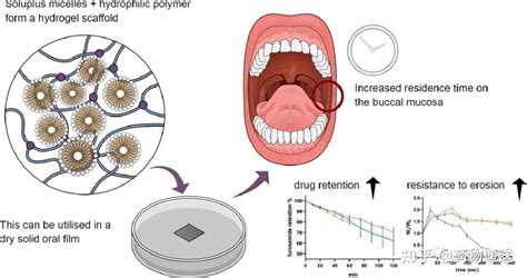 药物递送（十）——口腔薄膜技术 知乎
