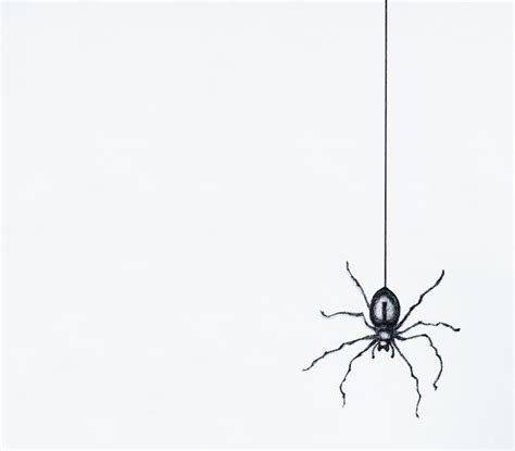 Sketch Of A Black Spider Spider Tattoo Spider Drawing Spider Art