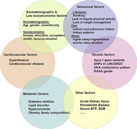 Risk factors associated with CKD. Risk factors associated with CKD are ...