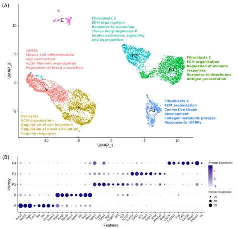 Single Cell Sequencing Analysis