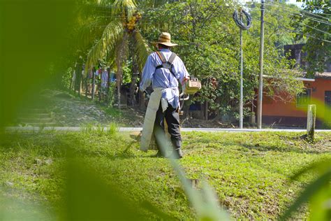 Las Reas Verdes Embellecen La Ciudad