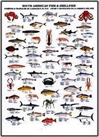 Gulf Of Mexico Fish Species Chart