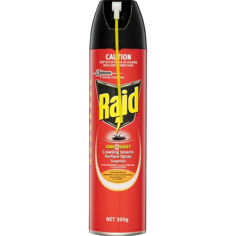 Raid Multi Insect Killer Indoor Outdoor Insecticide