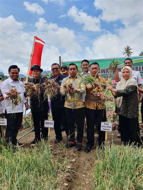 Lewat Gedor Horti Kementan Dorong Produksi Bawang Merah Berkualitas Di