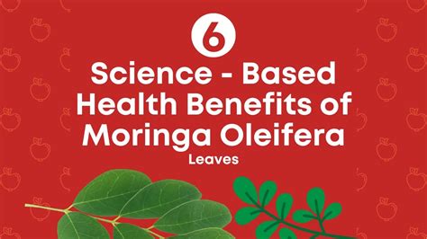 6 Science Based Health Benefits Of Moringa Oleifera Leaves Youtube