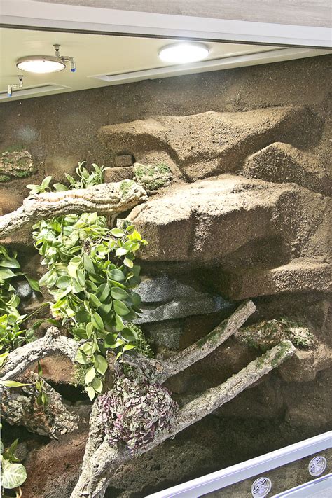 Landschaft Rechts Hoppe Terrarienbau