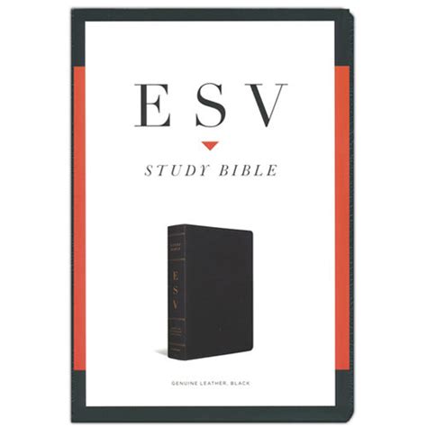 ESV Study Bible - Leather – Holyland Marketplace