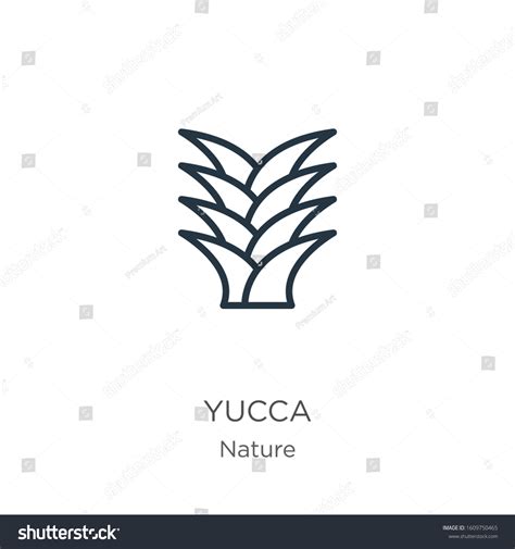 Yucca Icon Thin Linear Yucca Outline Stock Vector Royalty Free