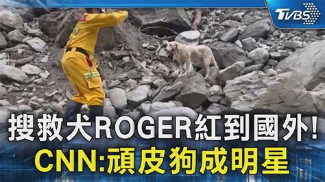 搜救犬roger紅到國外 Cnn頑皮狗成明星｜tvbs新聞 Tvbsnews02 Youtube