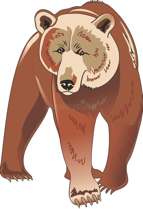 Grizzly Brown Bear Vector Stock Vector Illustration Of Bear 11549519