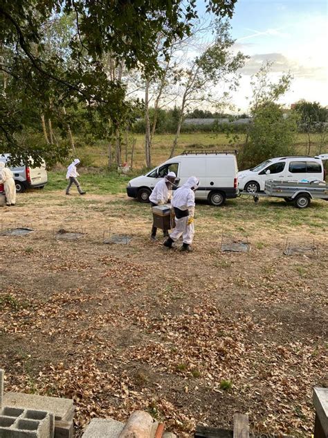 Transhumance Retour Au Rucher De Bessey Rucher Ecole Du Pilat