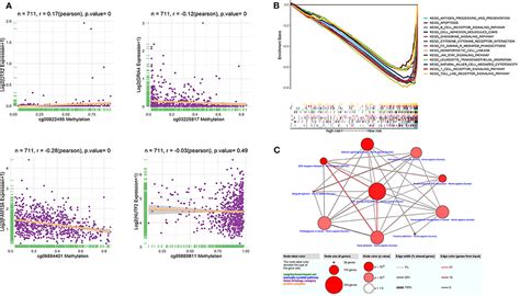 Frontiers A Novel Promoter CpG Based Signature For Long Term Survival