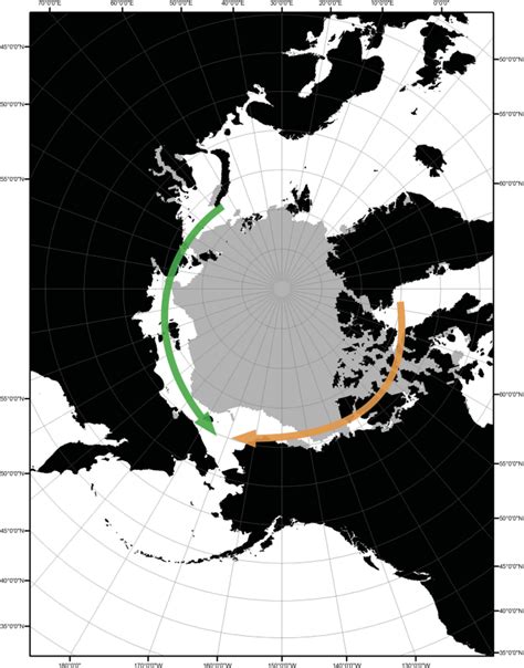 Viral Emergence In Marine Mammals In The North Pacific May Be Linked To