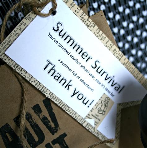 Summer Survival Kit - Male Teacher Appreciation Gift | Skip To My Lou