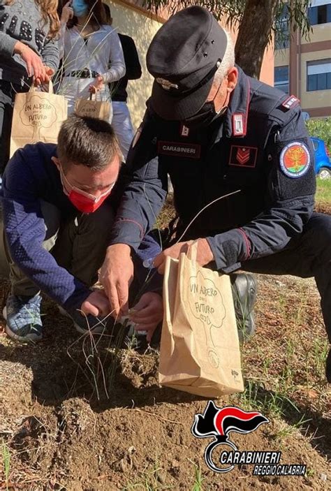 Roccella Jonica Progetto Un Albero Per Il Futuro Incontro Con Degli