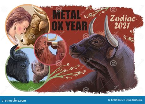 Aquarius Metal Ox Year Horoscope Zodiac Sign Isolated. Digital Art ...