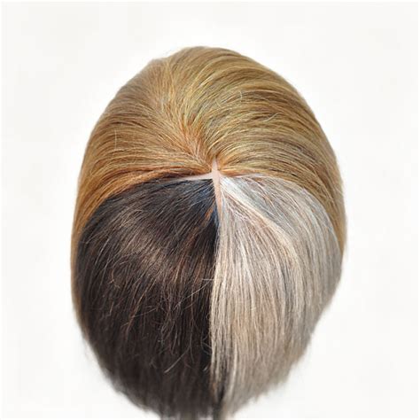 Quad Color 100 Human Hair Cosmetology Mannequin Head At