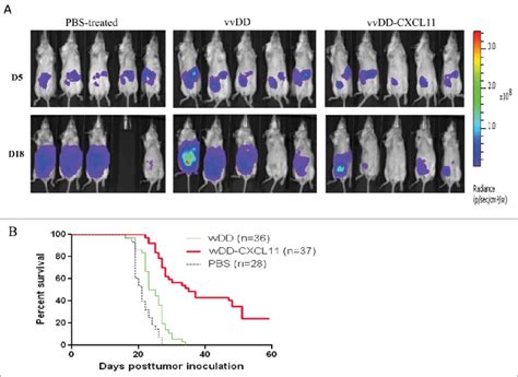 Vvdd Cxcl Treatment Elicited Antitumor Effects In Ab Luc Tumor