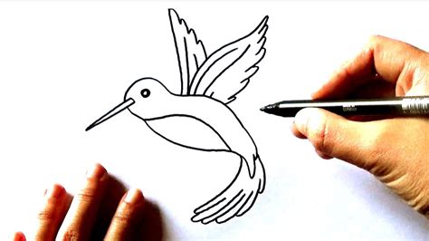 CÓMO DIBUJAR UN COLIBRÍ PASO A PASO dibujo de un colibrí YouTube