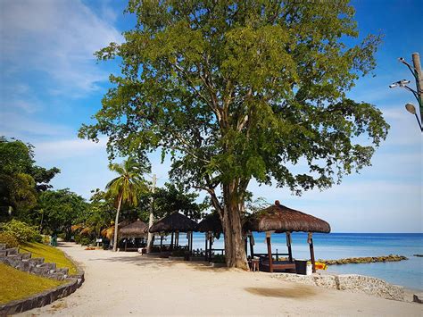 Palm Beach Resort | Beach Resort Finder