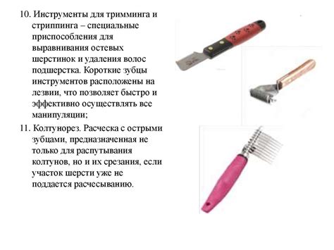 Инструменты для груминга - презентация онлайн