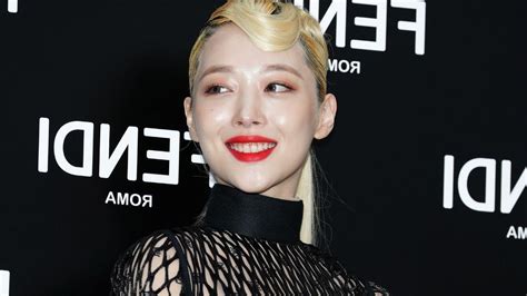 Netflix Documentary Persona Sulli Focuses On K Pop Star Life And