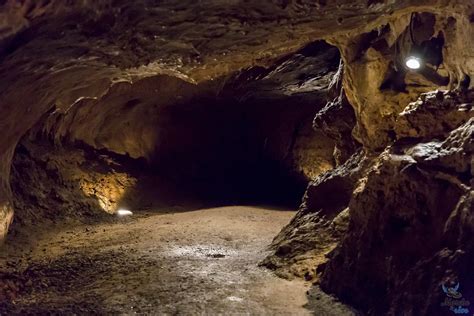 Nature et Préhistoire dans la vallée des grottes de Saulges Marche et