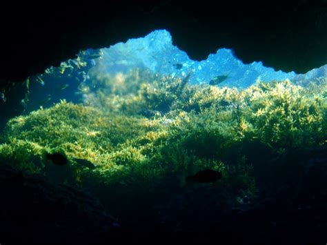 🔥 50 Underwater Cave Wallpapers Wallpapersafari