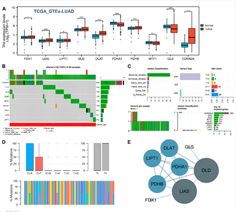 Figure 1 From Comprehensive Bioinformatics Analysis To Identify A Novel