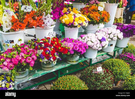 Flower market in Riga, Latvia Stock Photo - Alamy