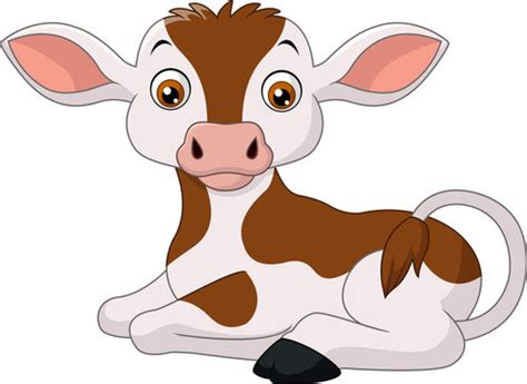 Baby Calf Cartoon