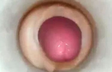 Inside A Sex Toy As The Penis Ejaculates Bizarre Porn At ThisVid Tube