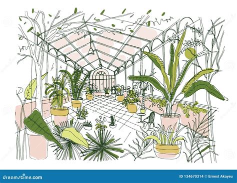 Freehand Drawing Of Interior Of Tropical Botanical Garden Full Of