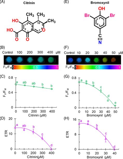 Chemical Structures Of Citrinin A And Bromoxynil E And Their