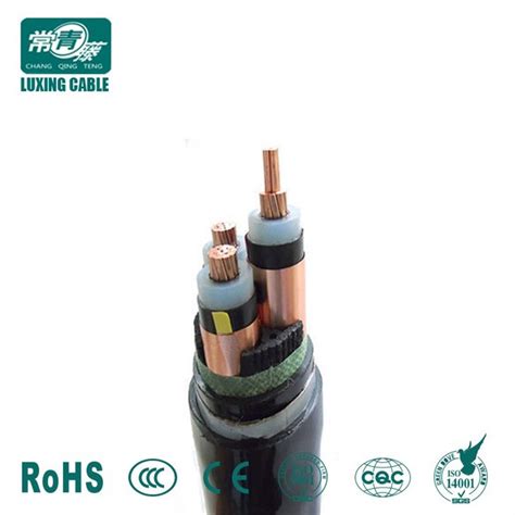 China Low To High Eletrical Voltage Xlpe Power Cables 26kv 35kv 66kv 69kv 110kv 132kv 220kv