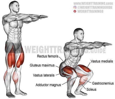 Bodyweight squat exercise instructions and video | Weight Training ...