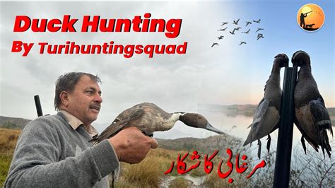 Duck Hunting Murghabi Ka Shikar At Mainwali Pakistan Turi