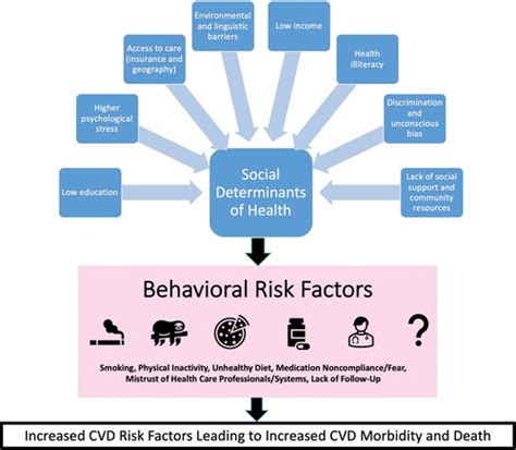 Cardiovascular Disease Risk Factors In Women The Impact Of Race And