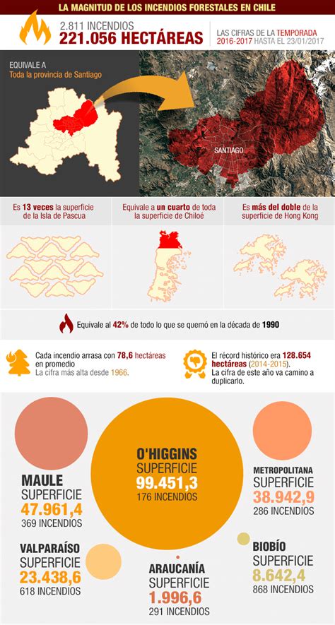 Infografía La Dimensión De Los Incendios Forestales Que Han Afectado A