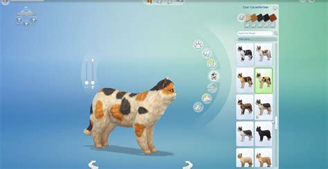 Les Sims 4 CHIENS ET CHATS Les détails du créateur d animaux