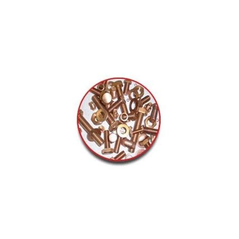 Golden Nickel And Copper Alloy Fasteners At Best Price In Mumbai