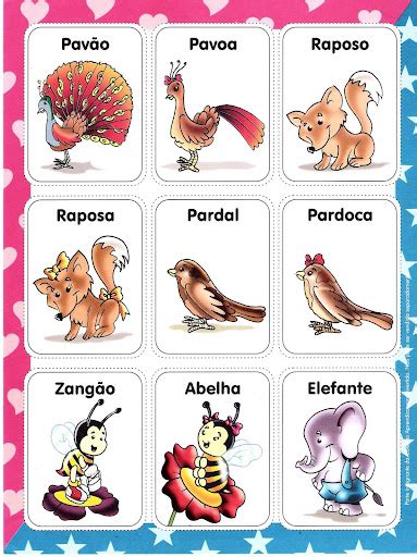 Animal É Masculino Ou Feminino - Masculino E Feminino De Animais