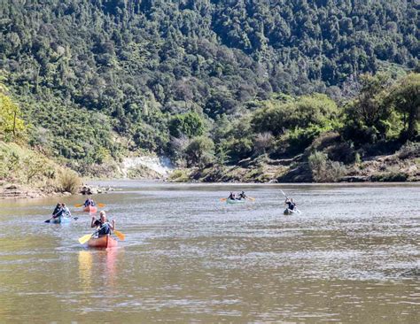 Whanganui Journey In New Zealand Traffic Torch