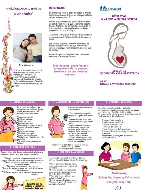 Triptico Control Prenatal Noemi Sayaverde Pdf El Embarazo Medicina