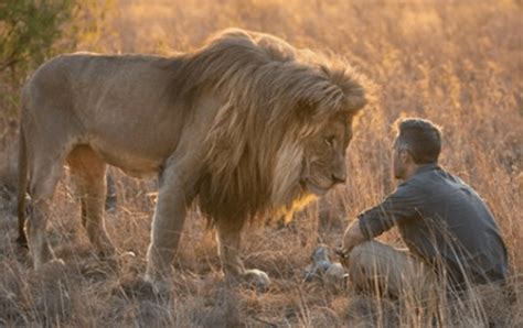 Top Imagen Kevin Richardson Leones Abzlocal Mx